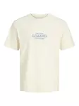 Jack&Jones T-Shirt Cassis - Men's T-shirts - 140960 - 1