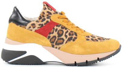 Udgående Kina tjære Tamaris Sneakers 23781-32 Mustard Comb - Stilettoshop.eu webstore