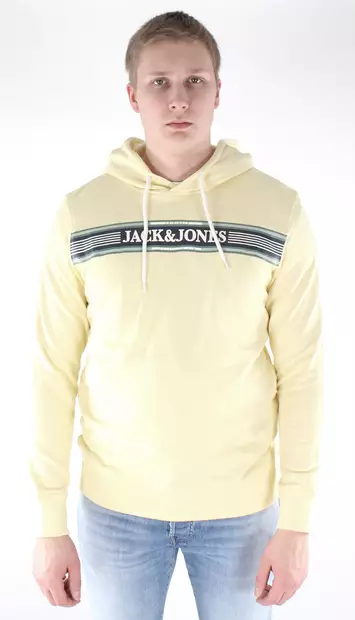 Jack&Jones Hoodie Anthony - Men's hoodies - 126402 - 4