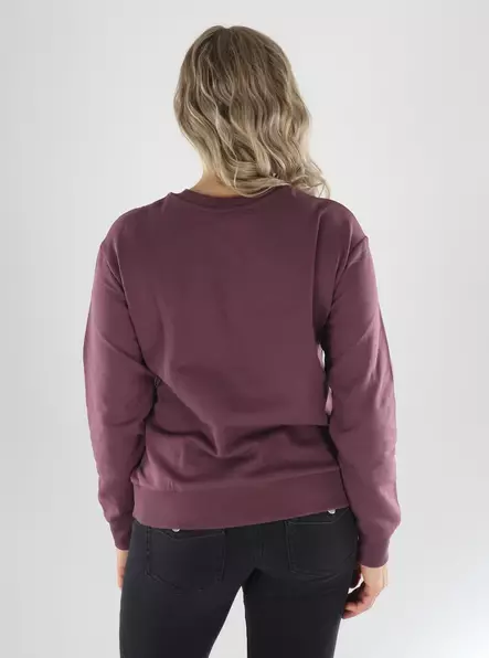 JDY Sweatshirt JDYPARIS L/S EMB SWEAT huckleberry/glitter - Women's hoodies and colleges - 141572 - 2