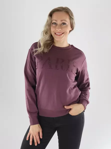 JDY Sweatshirt JDYPARIS L/S EMB SWEAT huckleberry/glitter - Women's hoodies and colleges - 141572 - 1