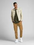 Jack&Jones Cargo Pants Paul Flake brown - Men's trousers - 133922 - 2