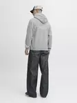 Jack&Jones Hoodie JCOCOVER Graphic - Men's hoodies - 139442 - 4