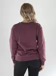JDY Sweatshirt JDYPARIS L/S EMB SWEAT huckleberry/glitter - Women's hoodies and colleges - 141572 - 2
