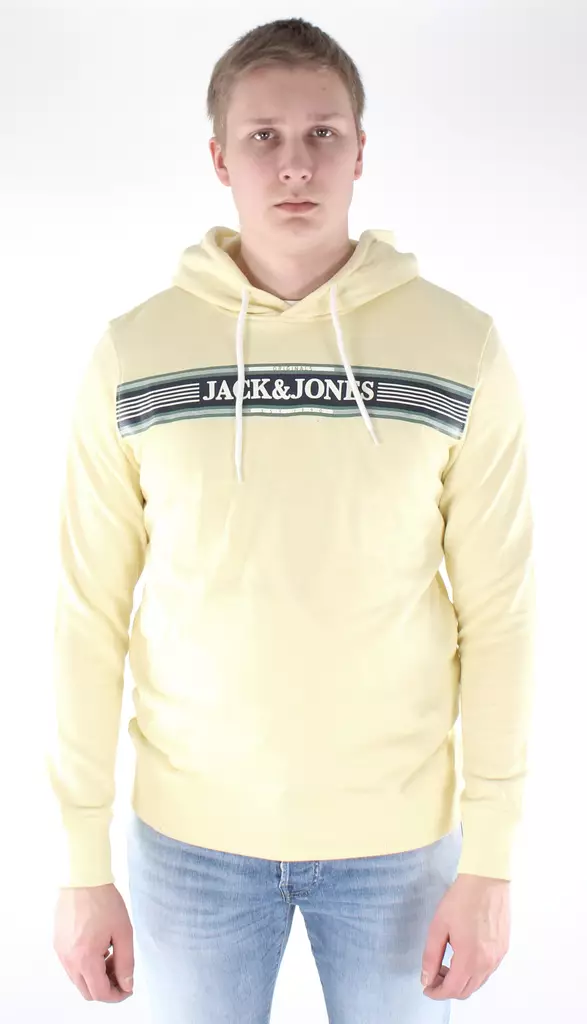 Jack&Jones Hoodie Anthony - Men's hoodies - 126402 - 4