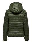 Only Women's Lightweight Quilted Jacket Tahoe hood forest - Women's light winter jackets - 131843 - 6