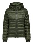 Only Women's Lightweight Quilted Jacket Tahoe hood forest - Women's light winter jackets - 131843 - 5