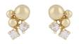 Snö of Sweden Earrings Lise gold/clear - Earrings - 135294 - 1
