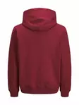 Jack&Jones men's hoodie JORNORREBRO tibetan red - Men's hoodies - 139904 - 2