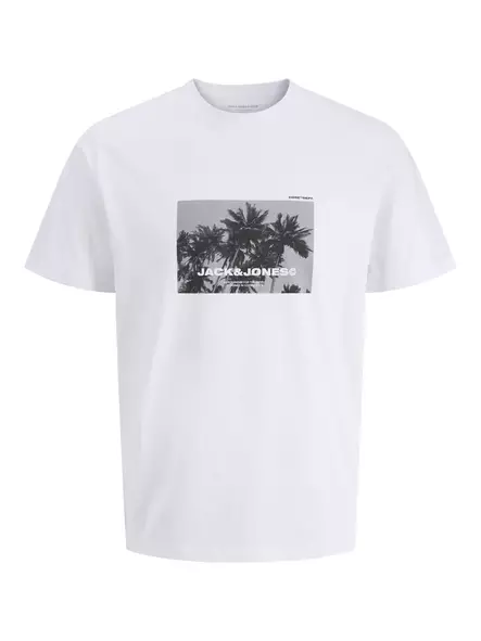 12286117 - Men's T-shirts - 138625 - 1