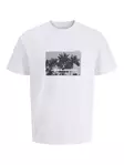 12286117 - Men's T-shirts - 138625 - 1