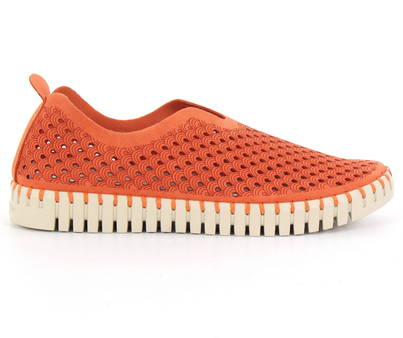 ilse jacobsen shoes