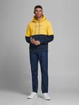 12176813 - Men's hoodies - 126928 - 4