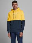 12176813 - Men's hoodies - 126928 - 1