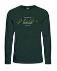 Jack&Jones Shirt Ferry crew neck - Men's long sleeved shirts - 132459 - 1