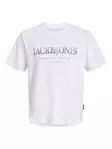Jack&Jones men's t-shirt Daytona Print Tee - Men's T-shirts - 140289 - 2